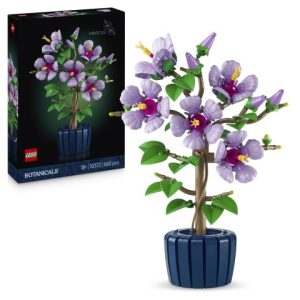 10372 Hibiscus